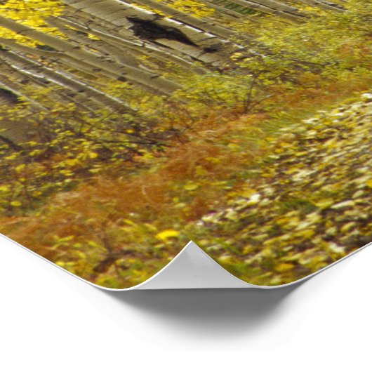 Weg met herfstkleuren en asbest in Kebler 2 Poster (Hoek)