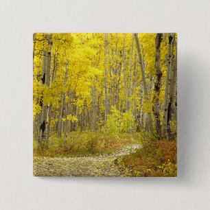 Weg met herfstkleuren en esp in Kebler 2 Vierkante Button 5,1 Cm