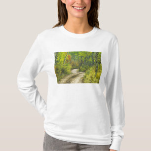 Weg met herfstkleuren en esp in Kebler T-shirt
