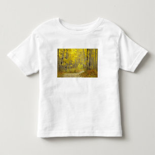 Weg met herfstkleuren en espes in Kebler 2 Kinder Shirts