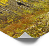 Weg met herfstkleuren en espes in Kebler 2 Poster (Hoek)
