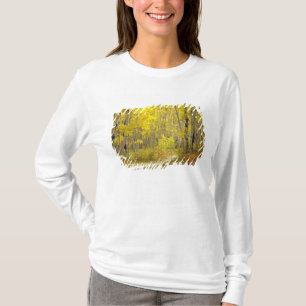 Weg met herfstkleuren en espes in Kebler 2 T-shirt