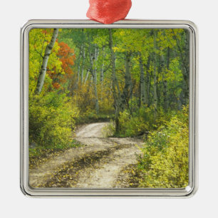 Weg met herfstkleuren en espes in Kebler Metalen Ornament