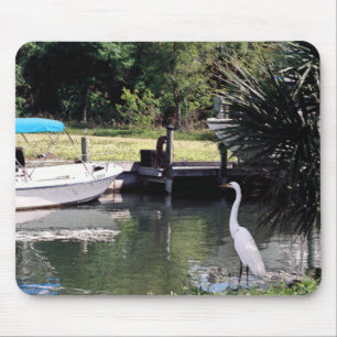 weg met vissen! muismat