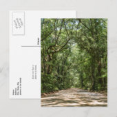 Weg naar Angel Oak Briefkaart (Voorkant / Achterkant)