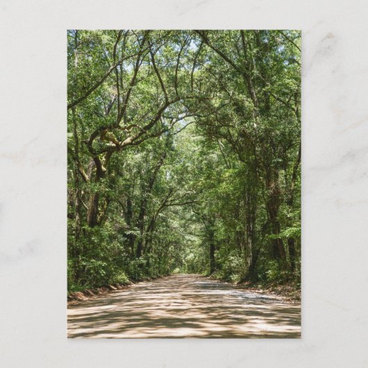 Weg naar Angel Oak Briefkaart (Voorkant)