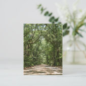Weg naar Angel Oak Briefkaart (Staand voorkant)