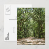 Weg naar Angel Oak Dank U Briefkaart (Voorkant / Achterkant)