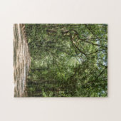 Weg naar Angel Oak Legpuzzel (Horizontaal)