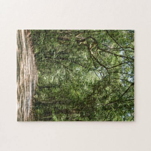 Weg naar Angel Oak Legpuzzel (Horizontaal)