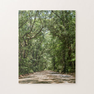 Weg naar Angel Oak Legpuzzel