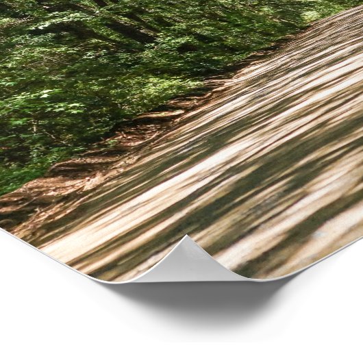 Weg naar Angel Oak Poster (Hoek)