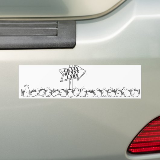 WEG NAAR DE CRAZY BUNNY LADY BUMPERSTICKER (Op auto)
