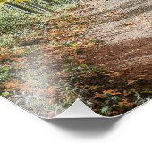 Weg naar het najaar foto afdruk (Hoek)