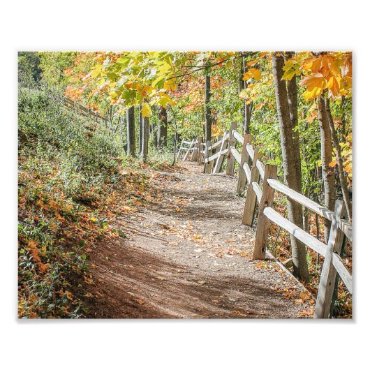 Weg naar het najaar foto afdruk (Voorkant)