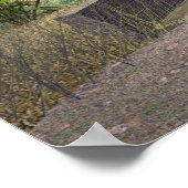 Weg naar Kalinos Poster (Hoek)