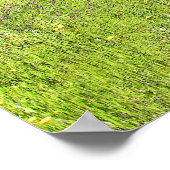 Weg naar lente poster (Hoek)