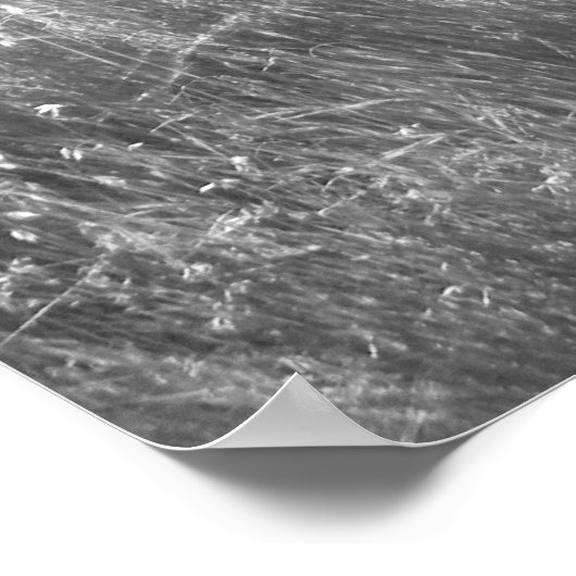 Weg naar licht Poster (Hoek)