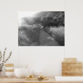 Weg naar licht Poster (Keuken)