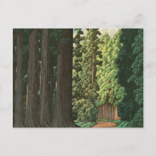 Weg naar Nikko door Kawase Hasui Briefkaart