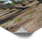 Weg naar paradijs Rangiroa Poster (Hoek)