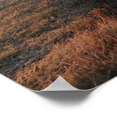 Weg naar Tatras Poster (Hoek)