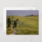 Weg naar Terrapille in het briefkaart Toscane (Voorkant / Achterkant)