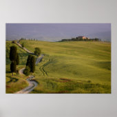 Weg naar Terrapille in het poster Toscane (Voorkant)