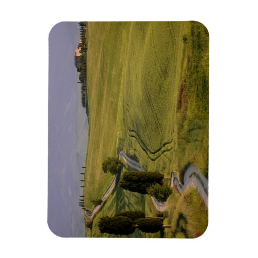 Weg naar Terrapille in Toscane magneet (Verticaal)