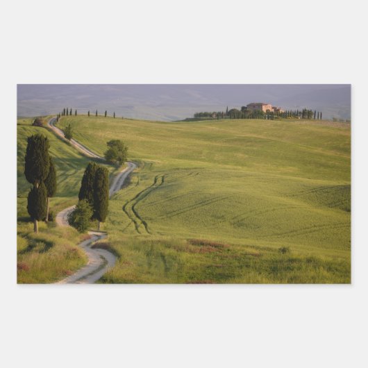 Weg naar Terrapille in Toscane rechthoekige sticke Sticker (Voorkant)