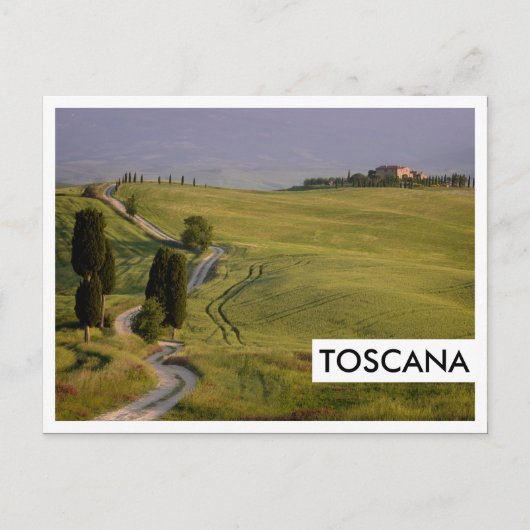 Weg naar Terrapille in Toscane, Toscana Briefkaart (Voorkant)