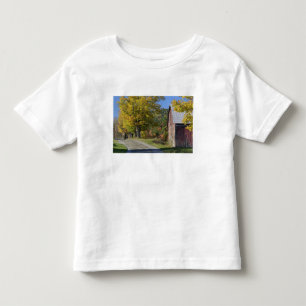 Weg naast klassieke boerderij op het platteland in kinder shirts