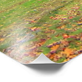 Weg Trees Autumn Herfst gekleurde bladeren Foto Afdruk (Hoek)