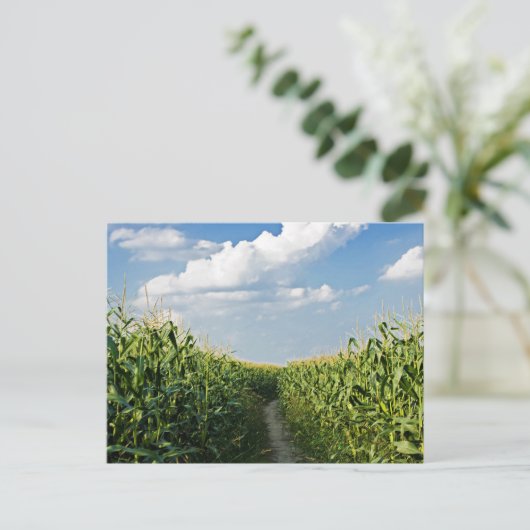 Weg tussen Corn-veld Briefkaart (Staand voorkant)