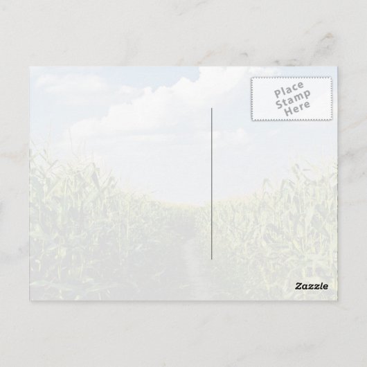 Weg tussen Corn-veld Briefkaart (Achterkant)