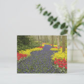 Weg van de Hyacinth van de Grafiek, daffodils, en Briefkaart (Staand voorkant)