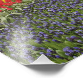 Weg van de Hyacinth van de Grafiek, daffodils, en Foto Afdruk (Hoek)