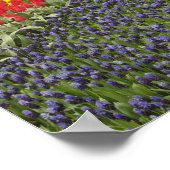 Weg van de Hyacinth van de Grafiek, daffodils, en Poster (Hoek)