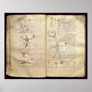 Weg van de maan over de constellaties poster