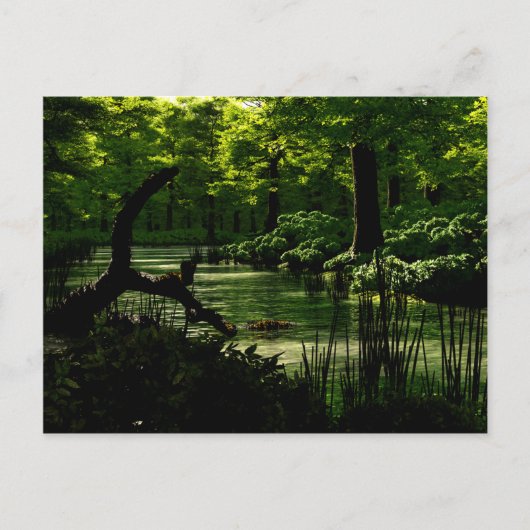 Weg van het Briefkaart van de Peacefuliteit (Voorkant)