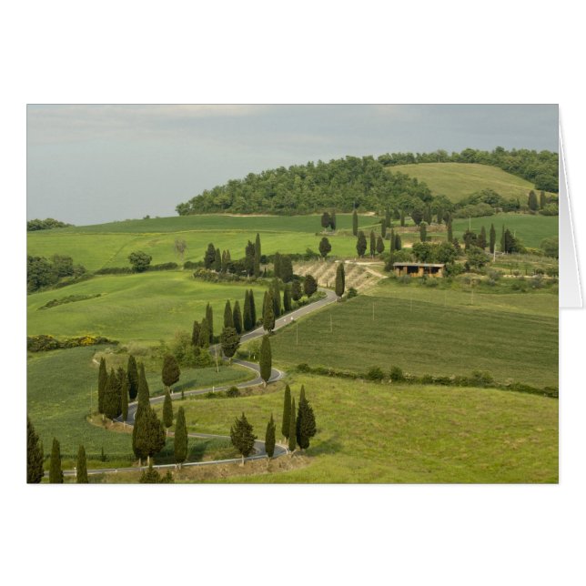 Weg van Pienza naar Montepulciano (Voorkant Horizontaal)