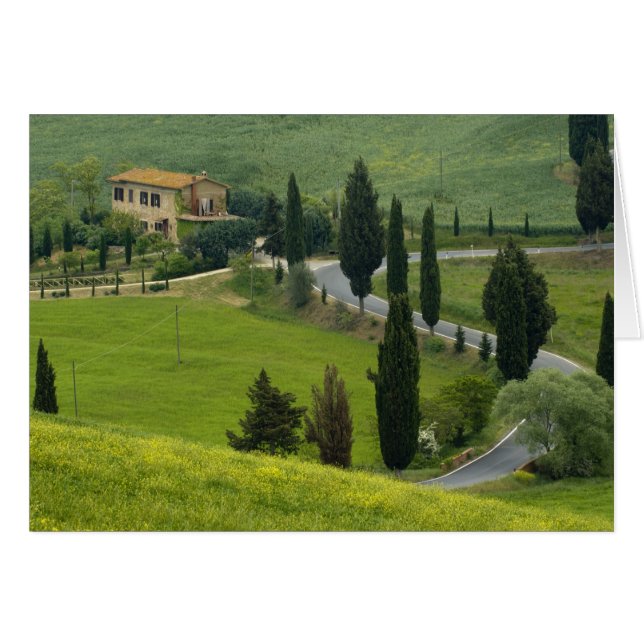 Weg van Pienza naar Montepulciano, 2 (Voorkant Horizontaal)