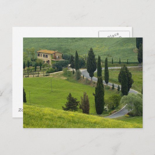 Weg van Pienza naar Montepulciano, 2 Briefkaart (Voorkant / Achterkant)