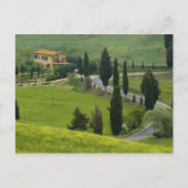 Weg van Pienza naar Montepulciano, 2 Briefkaart (Voorkant)