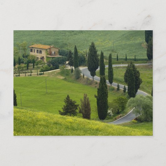 Weg van Pienza naar Montepulciano, 2 Briefkaart (Voorkant)