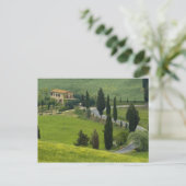 Weg van Pienza naar Montepulciano, 2 Briefkaart (Staand voorkant)