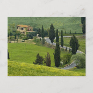 Weg van Pienza naar Montepulciano, 2 Briefkaart