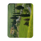 Weg van Pienza naar Montepulciano, 2 Magneet (Verticaal)