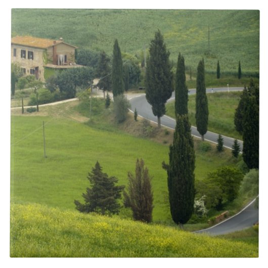 Weg van Pienza naar Montepulciano, 2 Tegeltje (Voorkant)