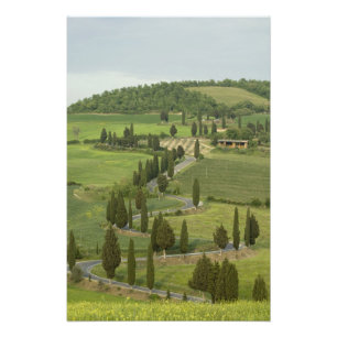 Weg van Pienza naar Montepulciano, Foto Afdruk